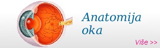 Anatomija oka