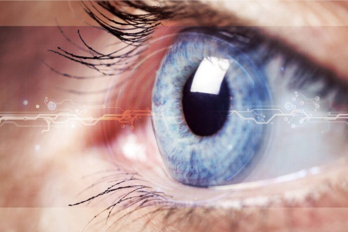 Pogled u unutrašnjost oka - osnovni pregled dijelova oka