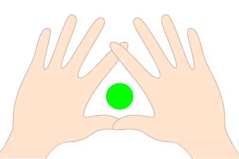 Dominantno oko motorička dominacija