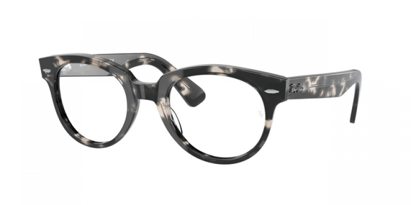 Ray Ban RB2199V ORION