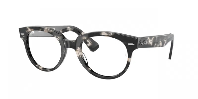 Ray Ban RB2199V ORION