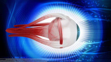 anatomija oka