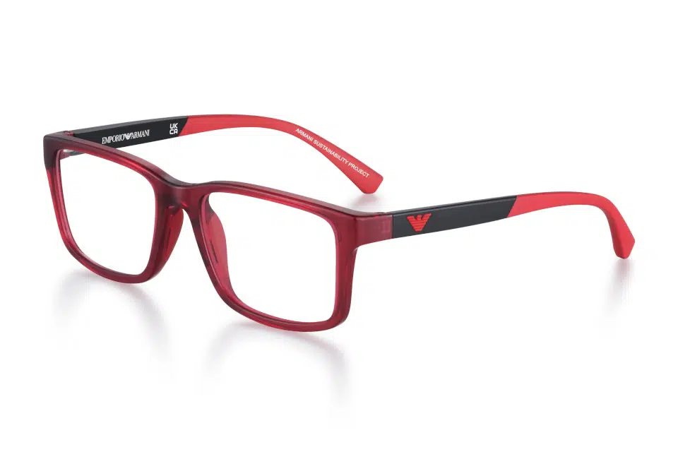 Emporio Armani EA3203