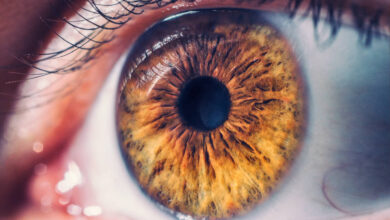 herpes na oku, očni herpes