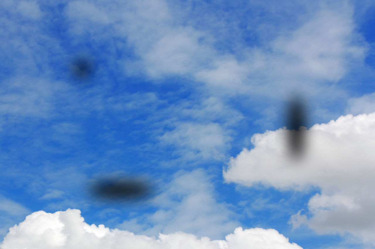 mušice u vidnom polju