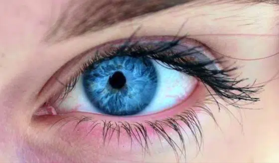 Plave oči
