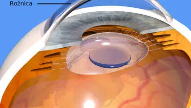 rožnica, rožnica oka, cornea