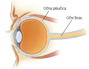 očni živac