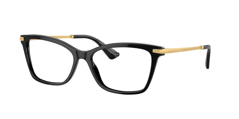 Dolce Gabbana DG3393