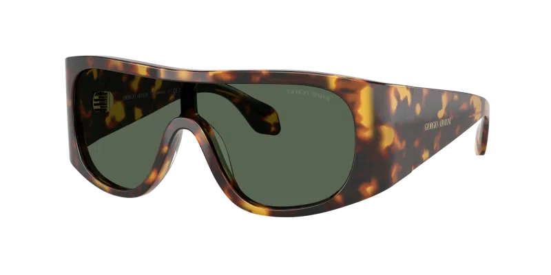 Giorgio Armani AR8222U 