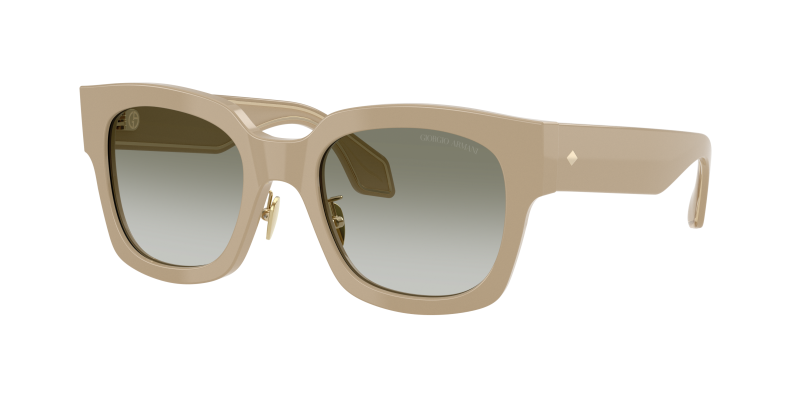 Giorgio Armani AR8223