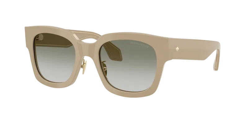 Giorgio Armani AR8223